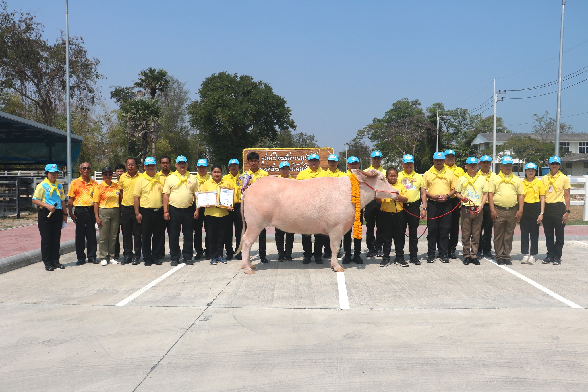 475812271 976870041258940 5167443436048311271 n