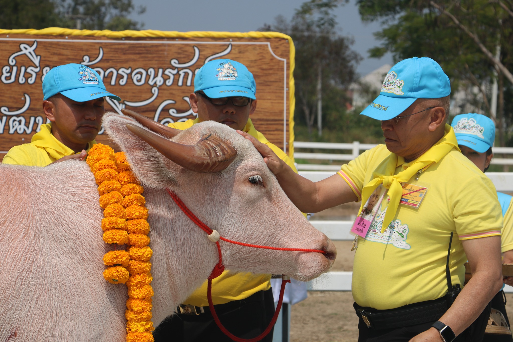 475969407 976869937925617 1061342327290267826 n