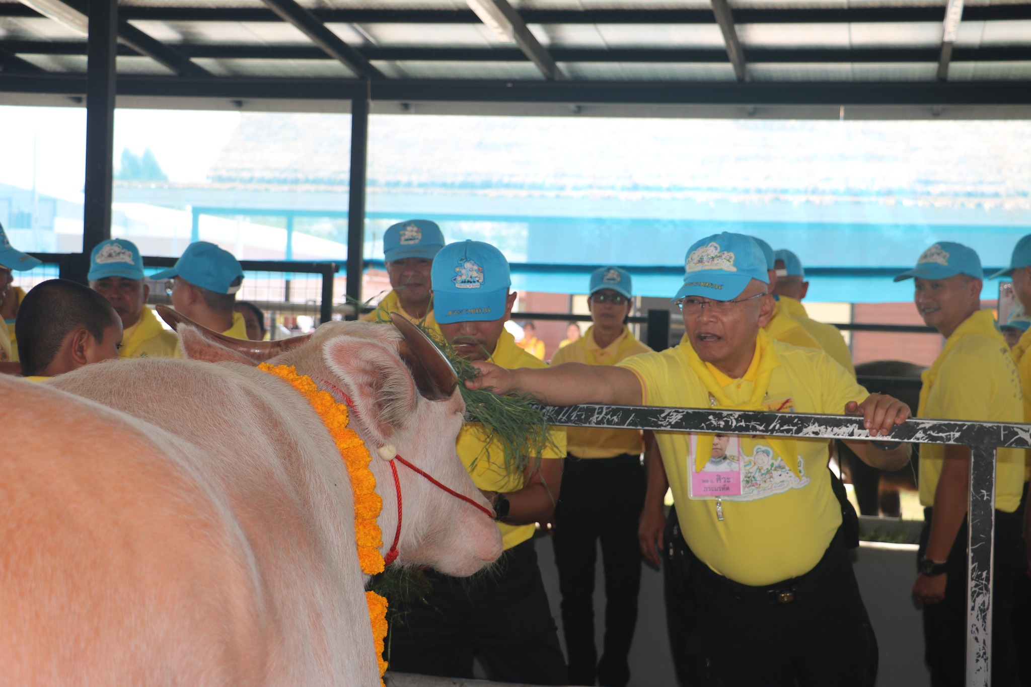 476109717 976870071258937 4789755820409535920 n