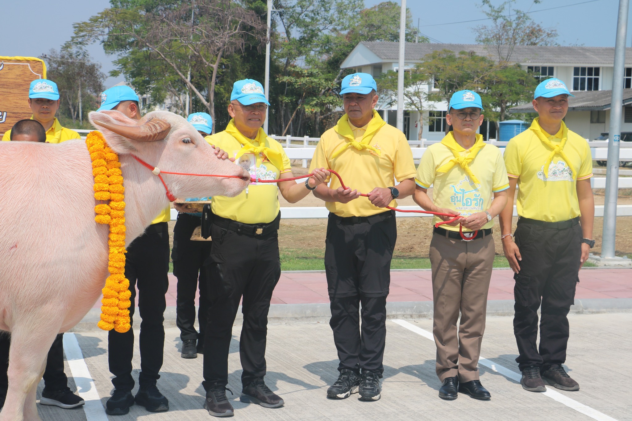 476125772 976869967925614 8223213338784705098 n