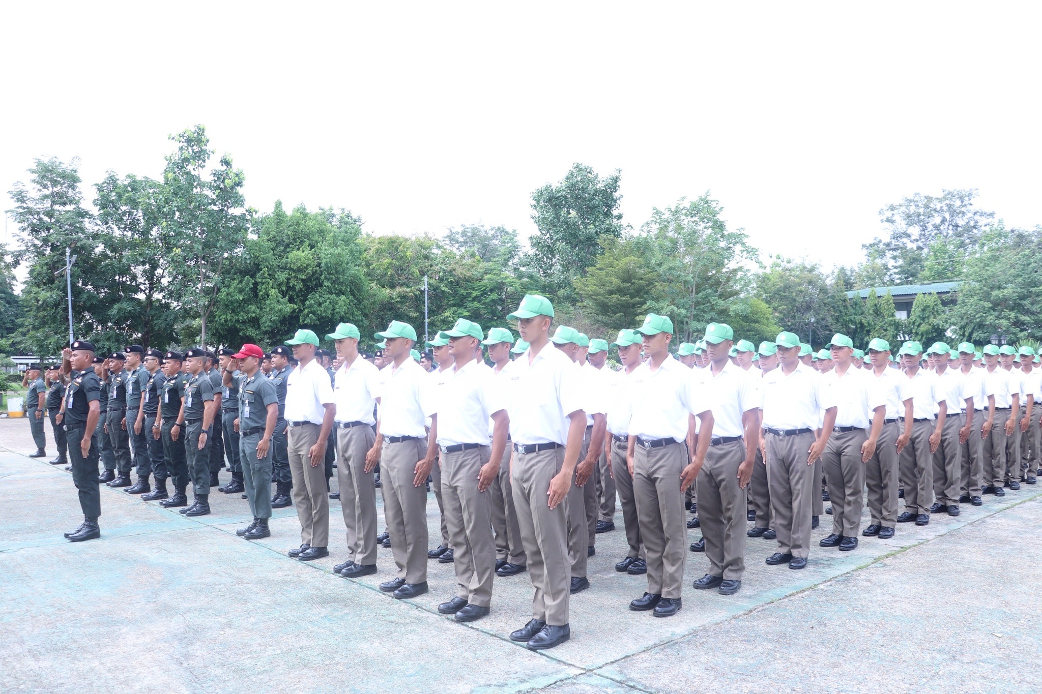 509357836 1073350858277524 2716947350266083432 n