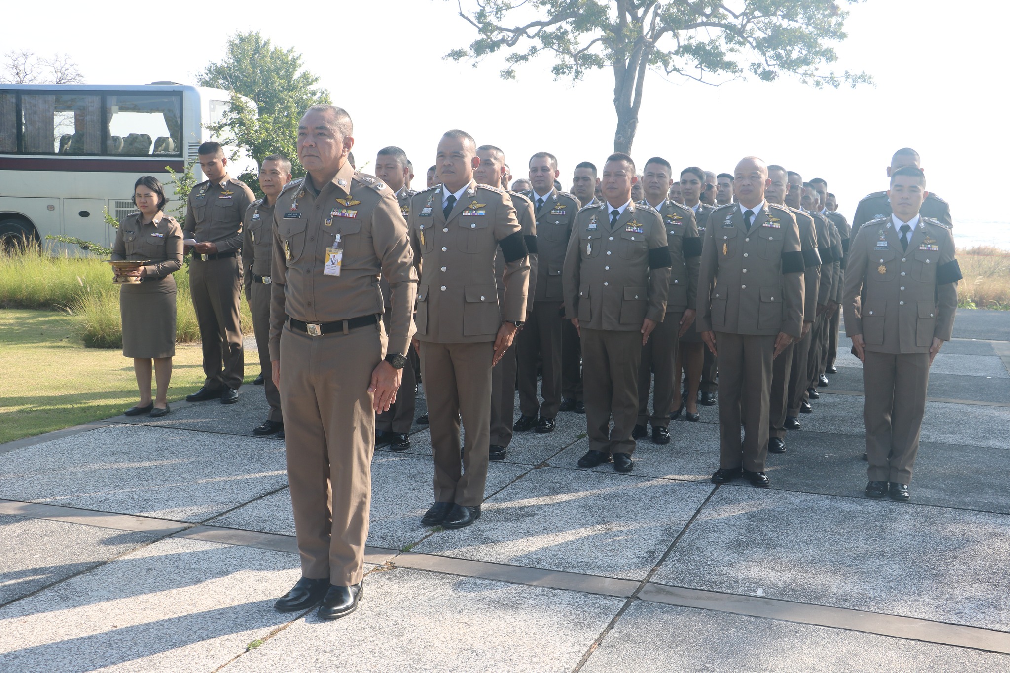 596544842 1210535804559028 2302761152540919939 n