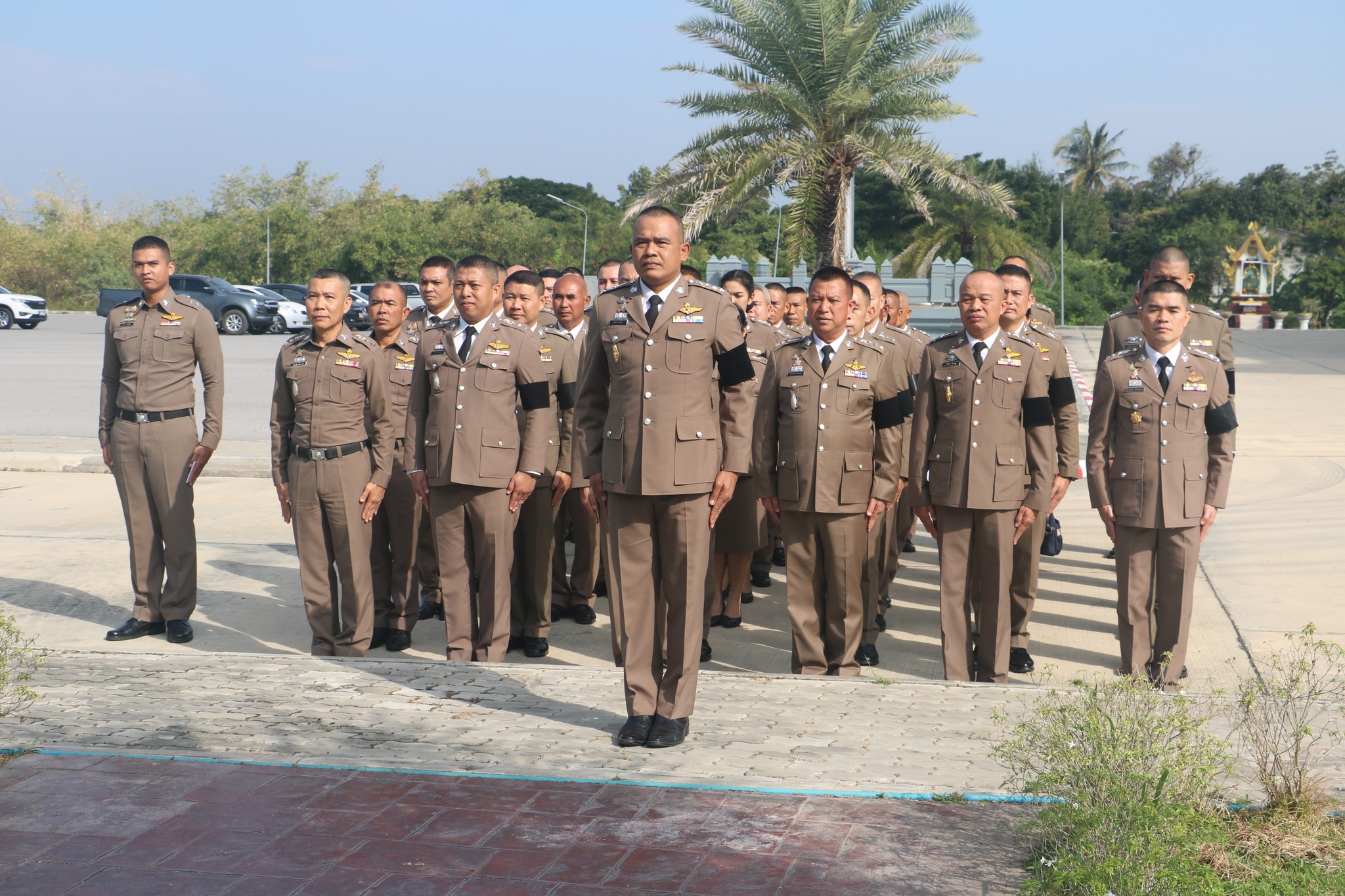 597450860 1210535791225696 5357715802823813071 n